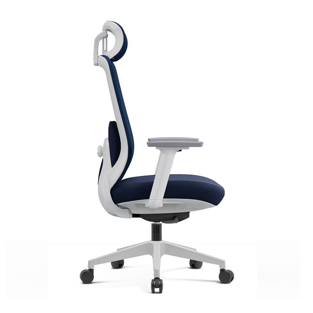 Aera | Adaptive Mesh Office Chair