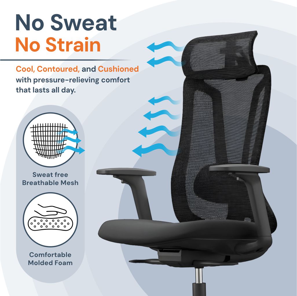 Ergonomic Mesh Office Chair