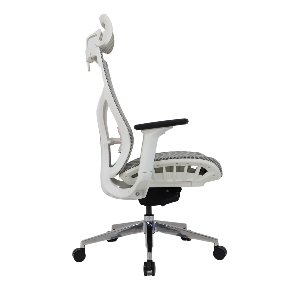 Ergonomic Mesh Chair