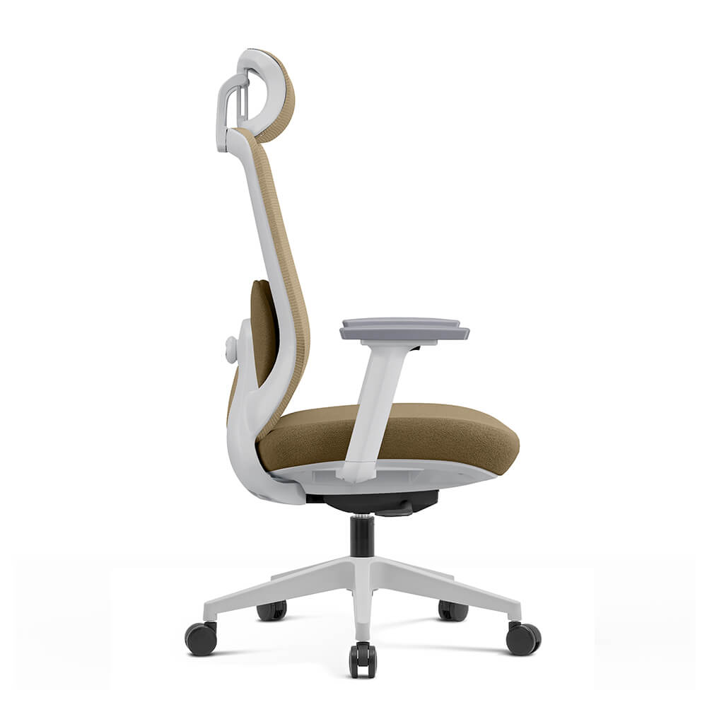 Aera | Adaptive Mesh Office Chair