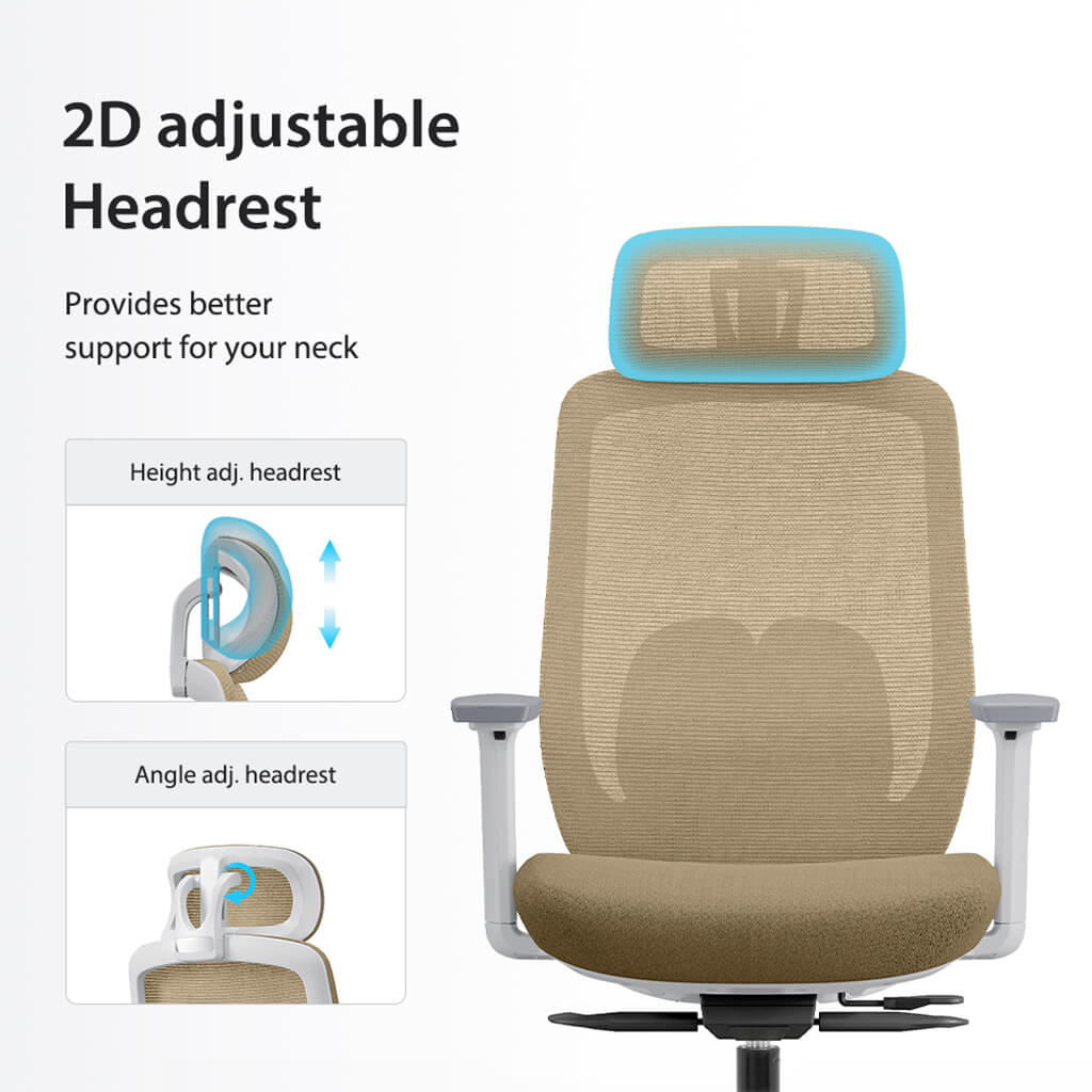 Aera | Adaptive Mesh Office Chair