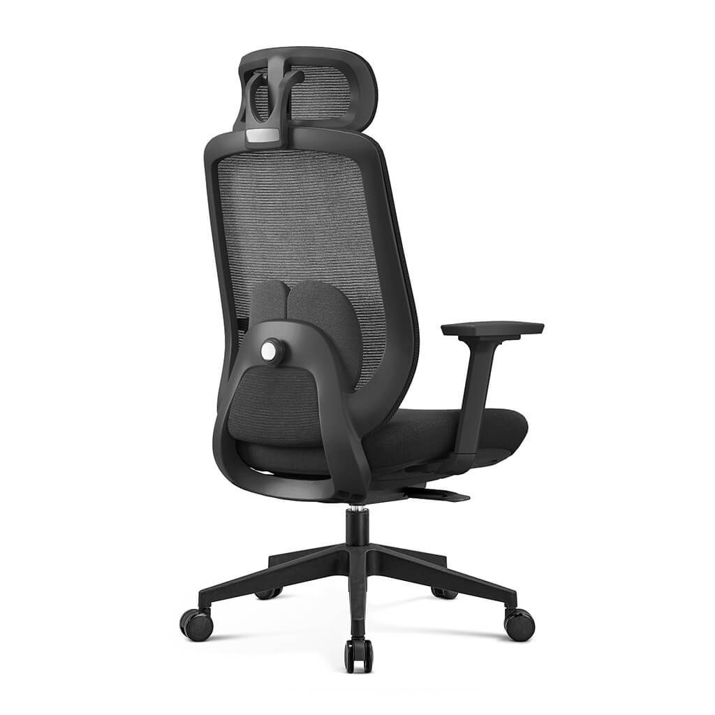 Aera | Adaptive Mesh Office Chair