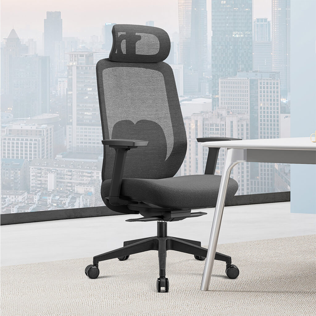Aera | Adaptive Mesh Office Chair