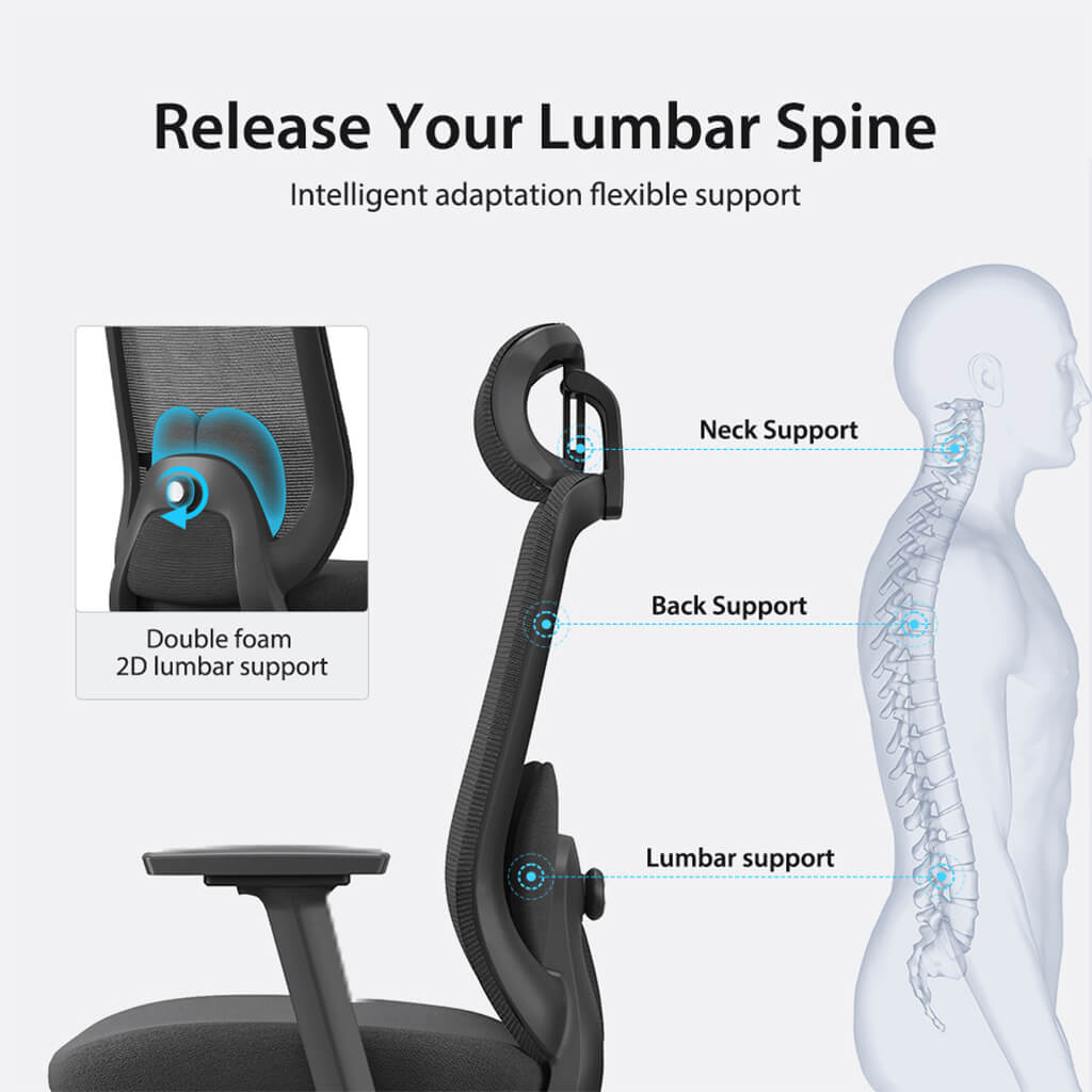 Aera | Adaptive Mesh Office Chair