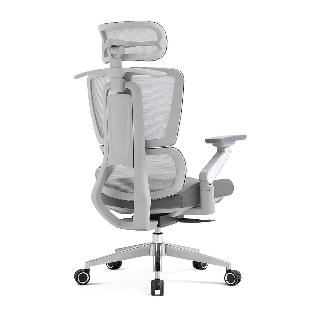 Apex | High-Performance Mesh Desk Chair