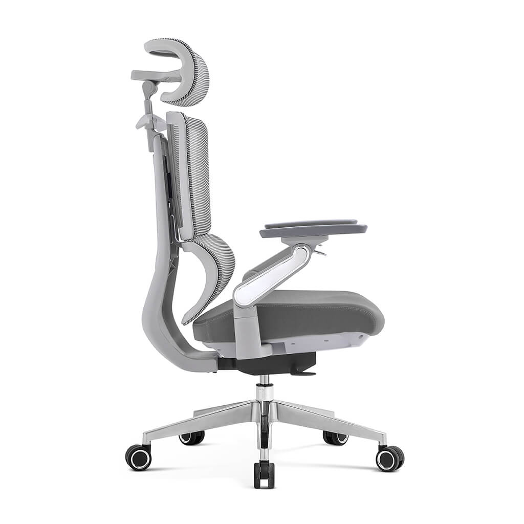 Apex | High-Performance Mesh Desk Chair