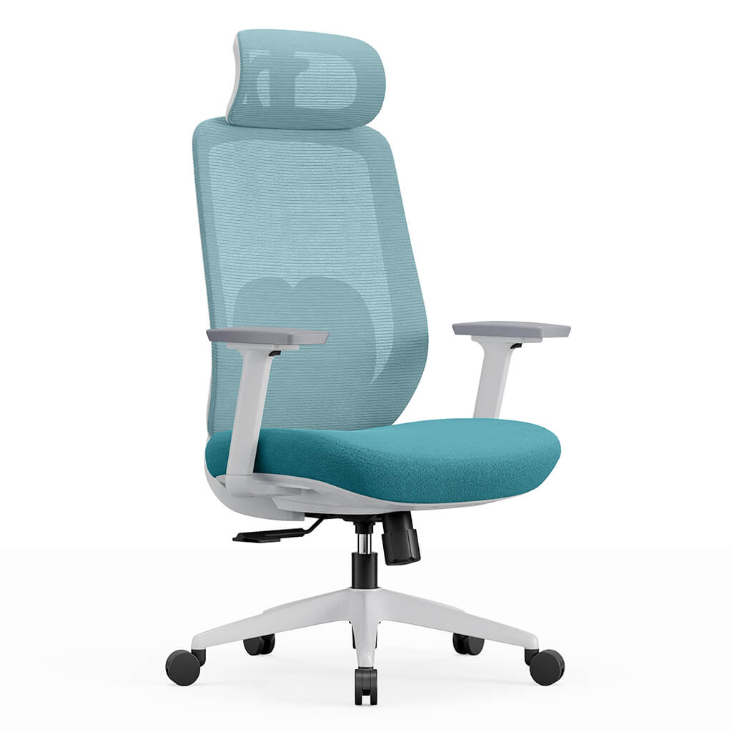 Aera | Adaptive Mesh Office Chair