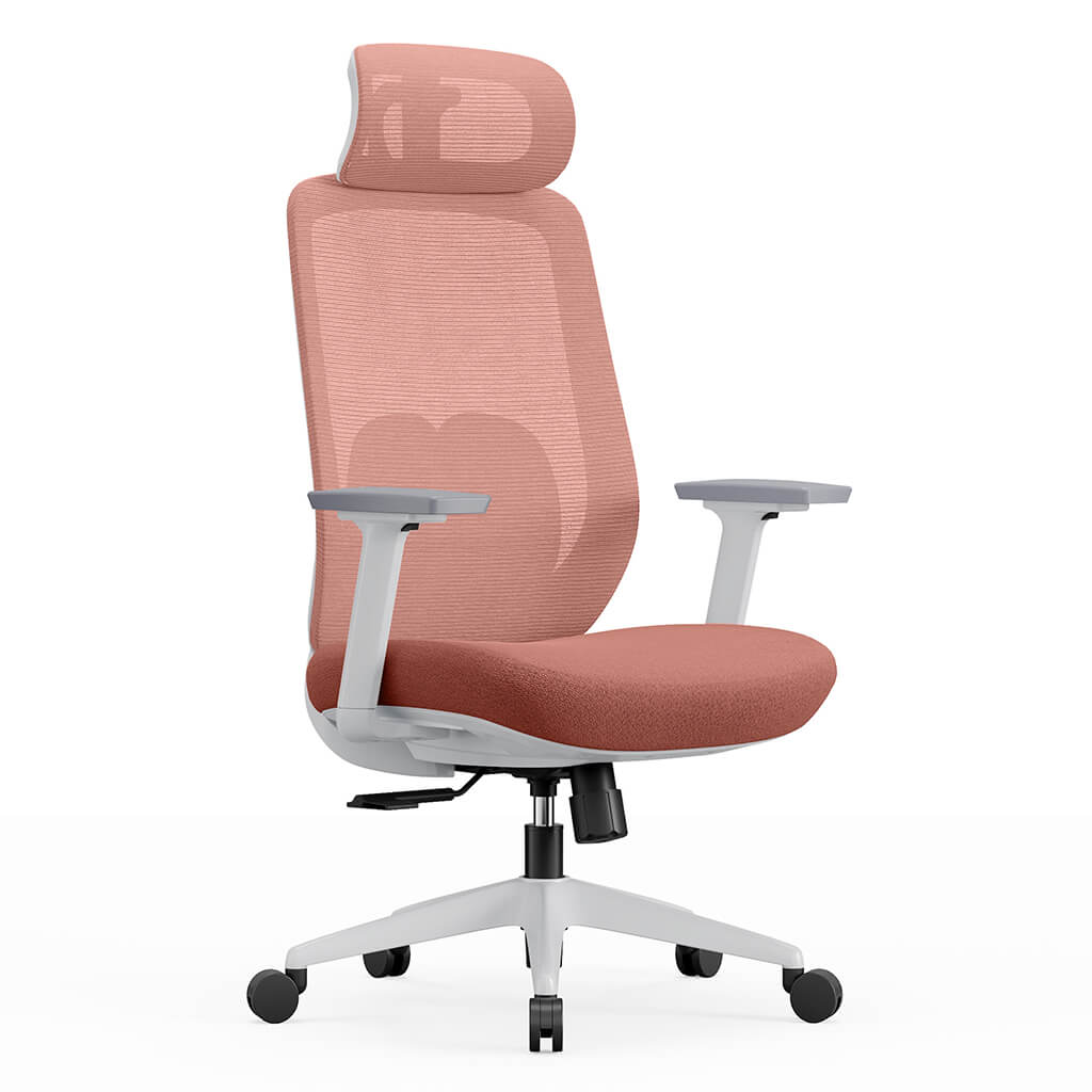 Aera | Adaptive Mesh Office Chair