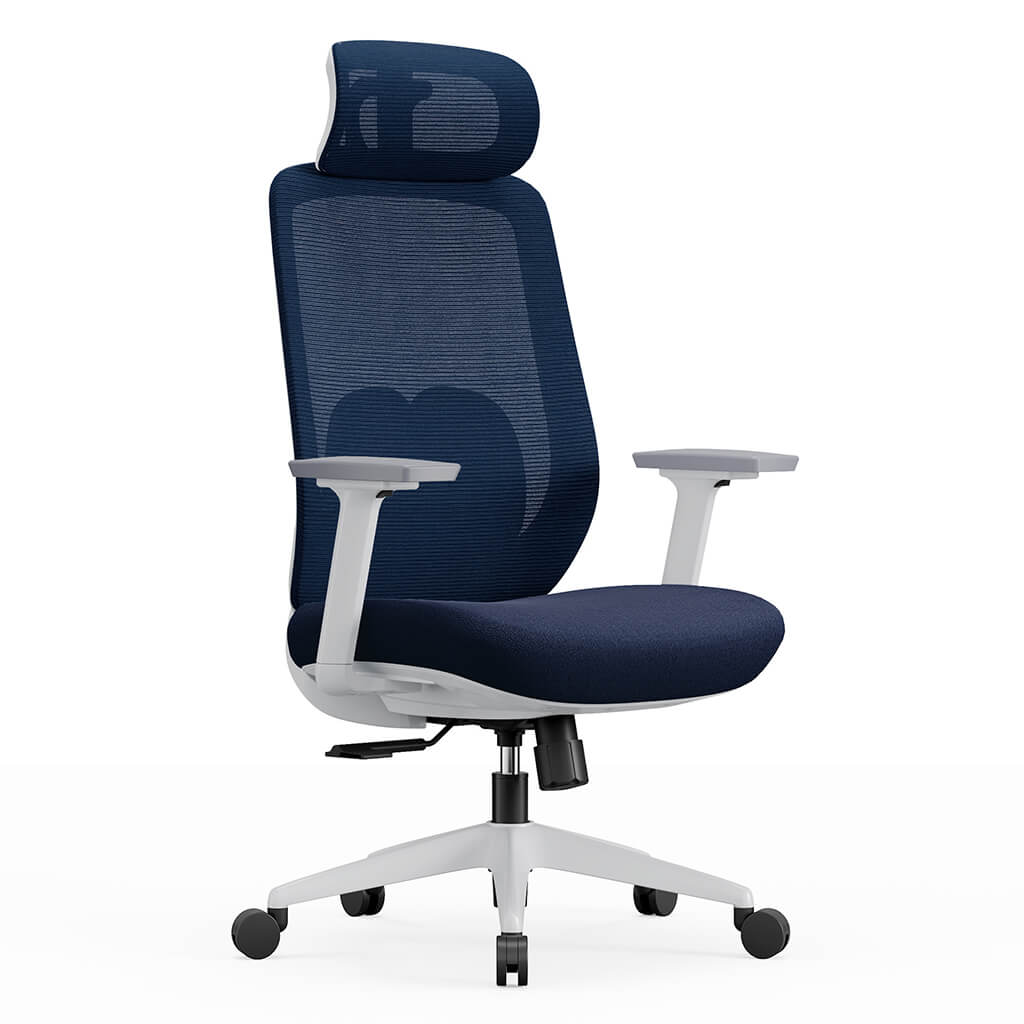 Aera | Adaptive Mesh Office Chair