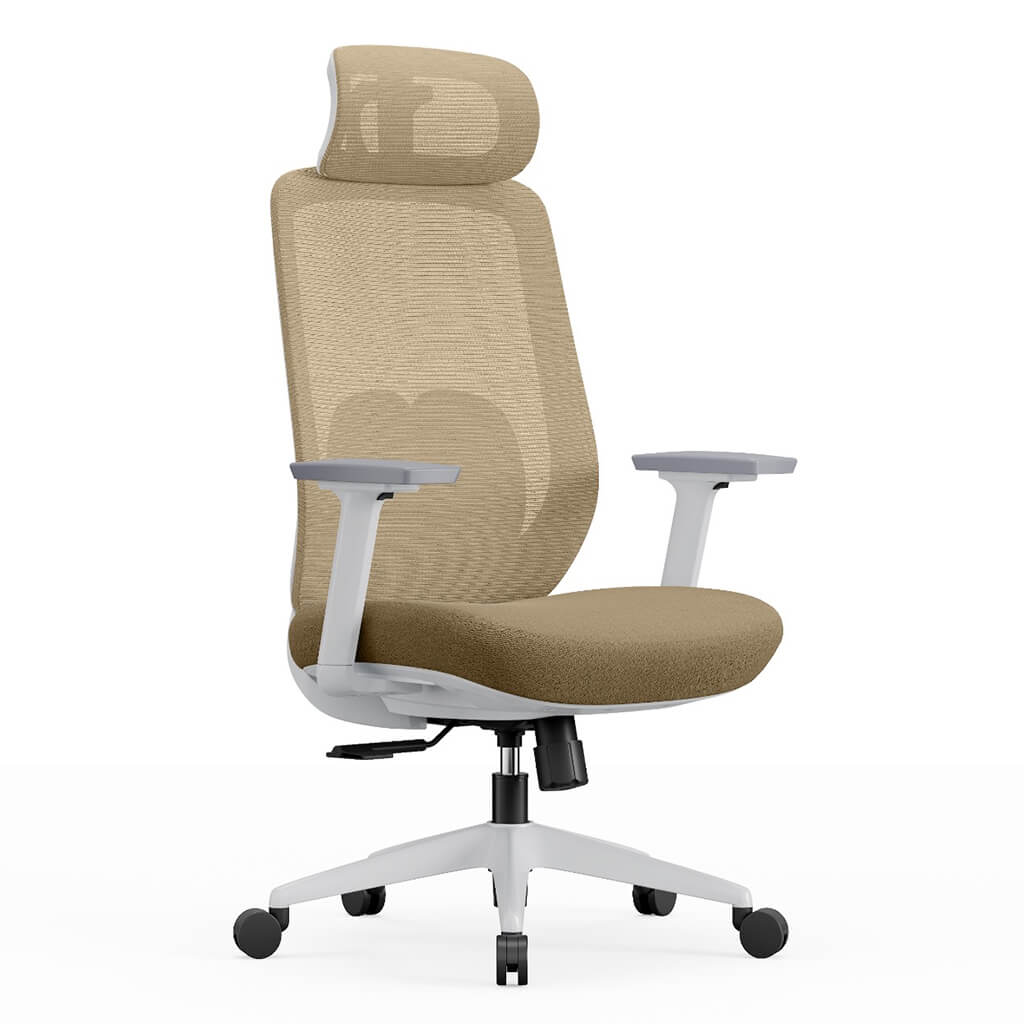 Aera | Adaptive Mesh Office Chair