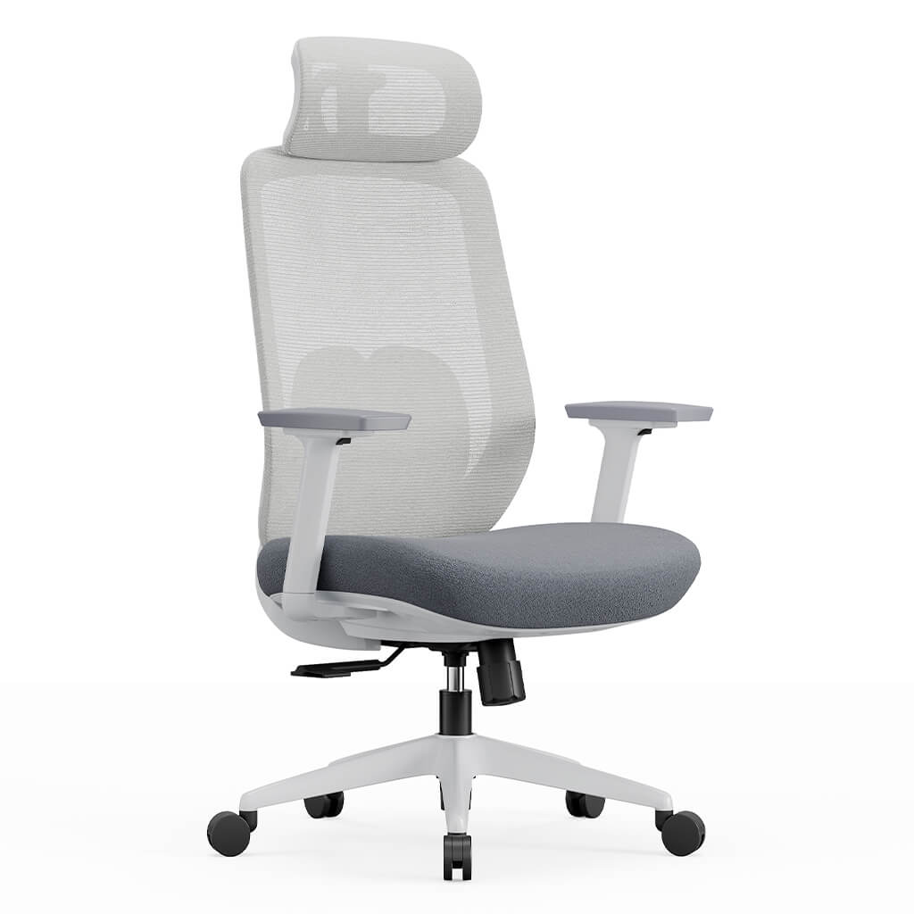 Aera | Adaptive Mesh Office Chair
