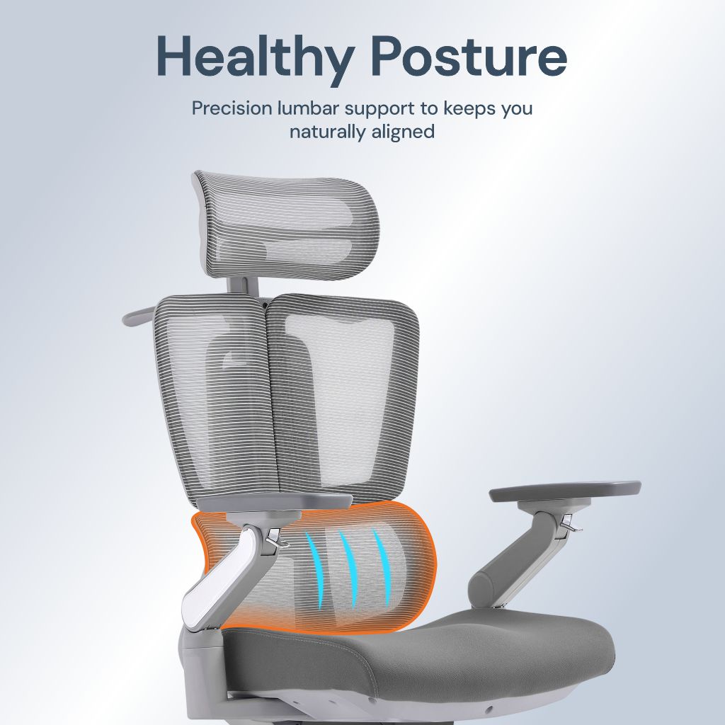 Apex | High-Performance Mesh Desk Chair