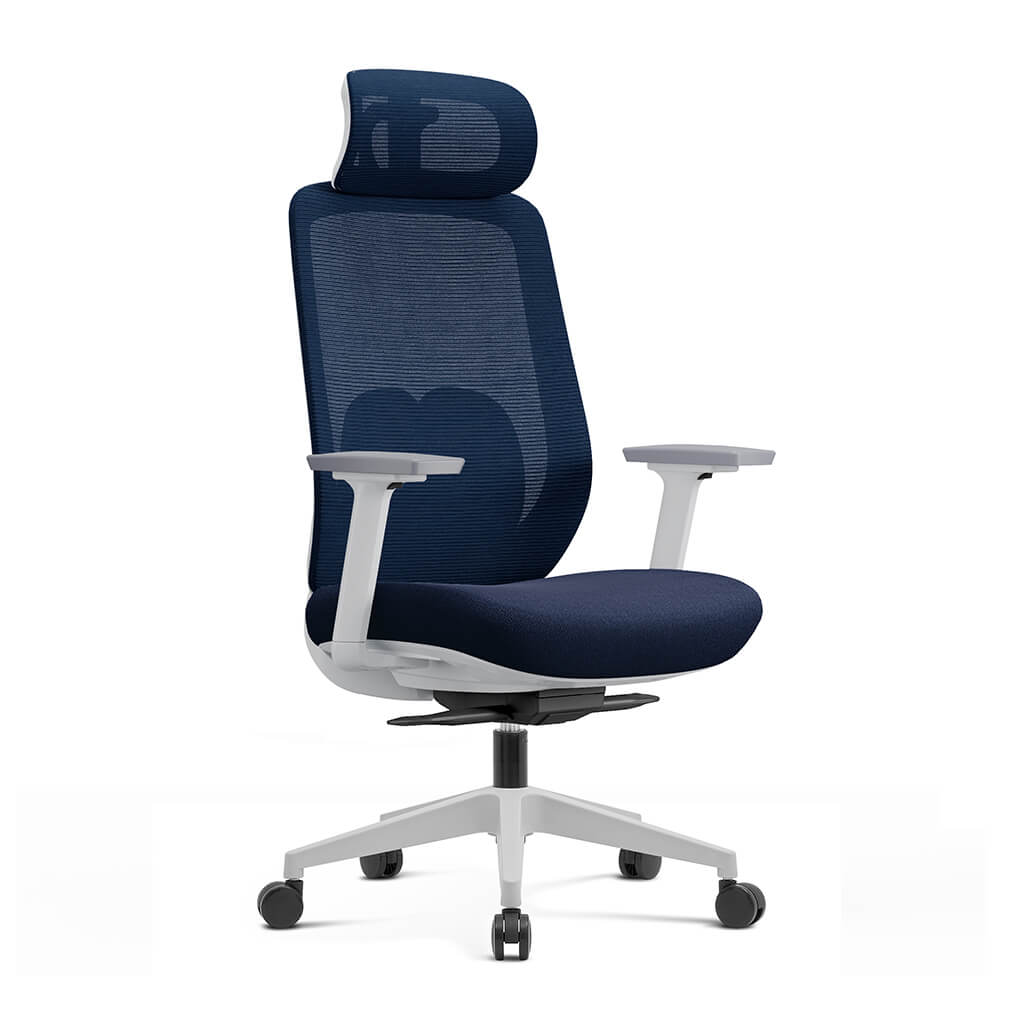 Aera | Adaptive Mesh Office Chair