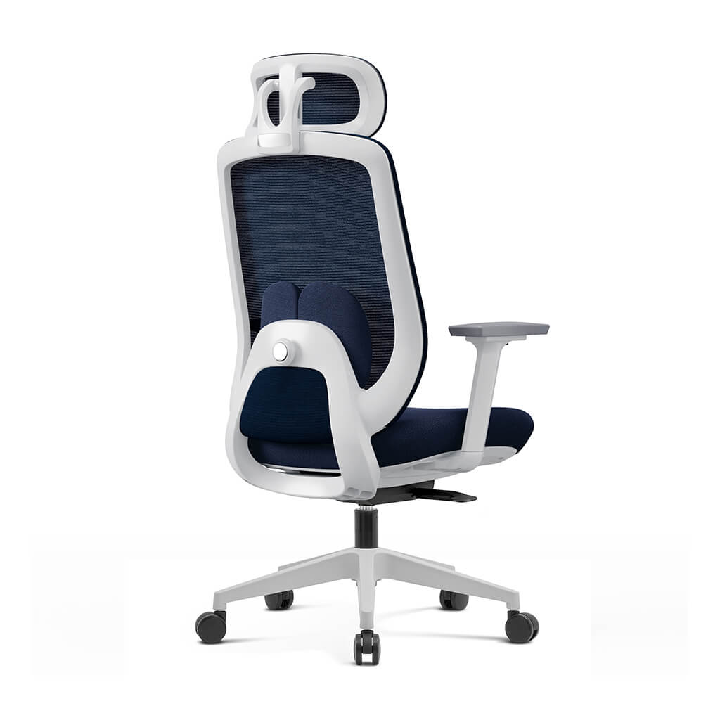 Aera | Adaptive Mesh Office Chair