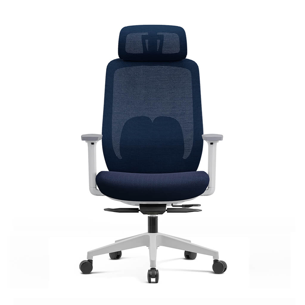 Aera | Adaptive Mesh Office Chair