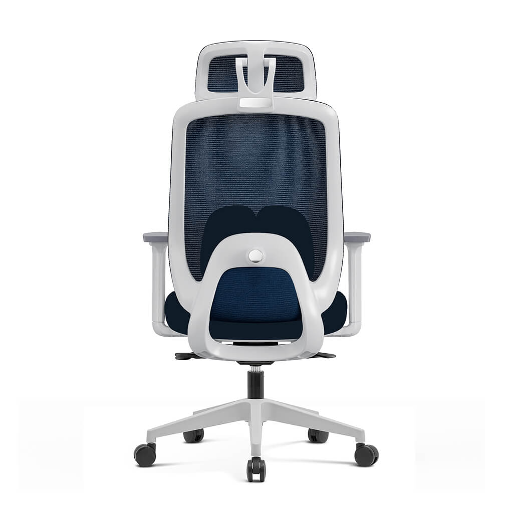 Aera | Adaptive Mesh Office Chair