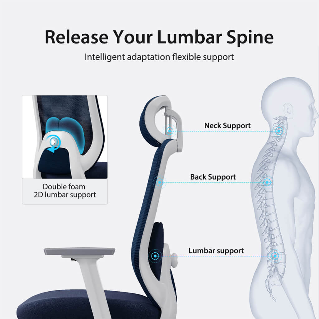 Aera | Adaptive Mesh Office Chair