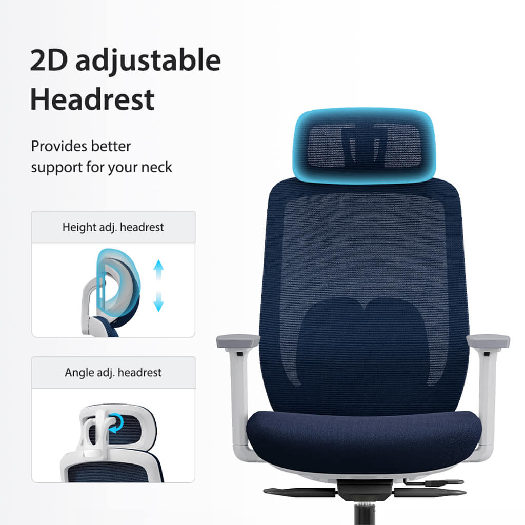 Aera | Adaptive Mesh Office Chair