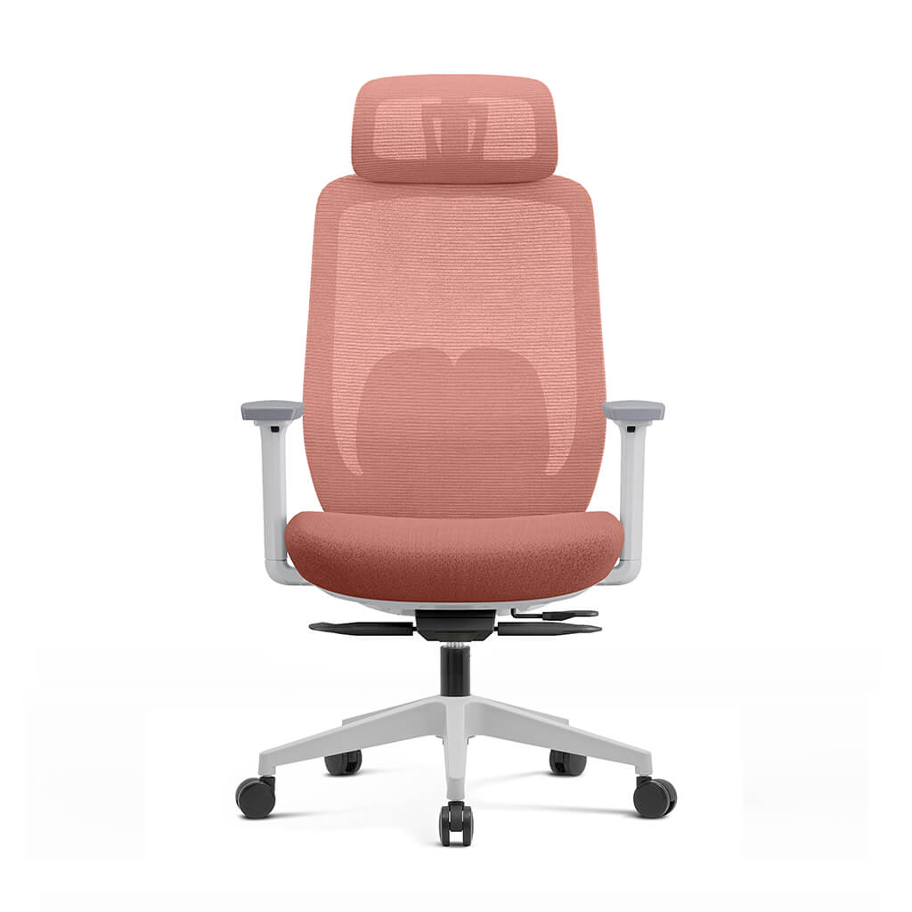 Aera | Adaptive Mesh Office Chair