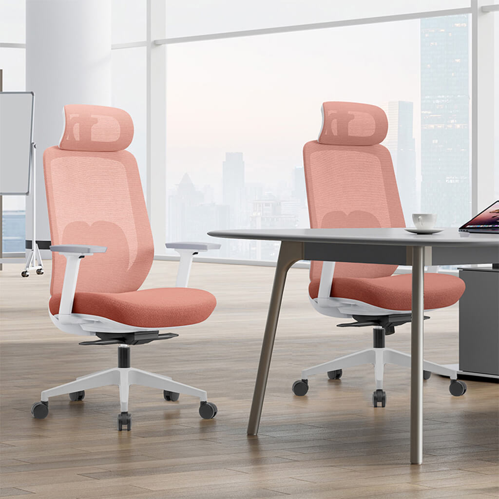 Aera | Adaptive Mesh Office Chair