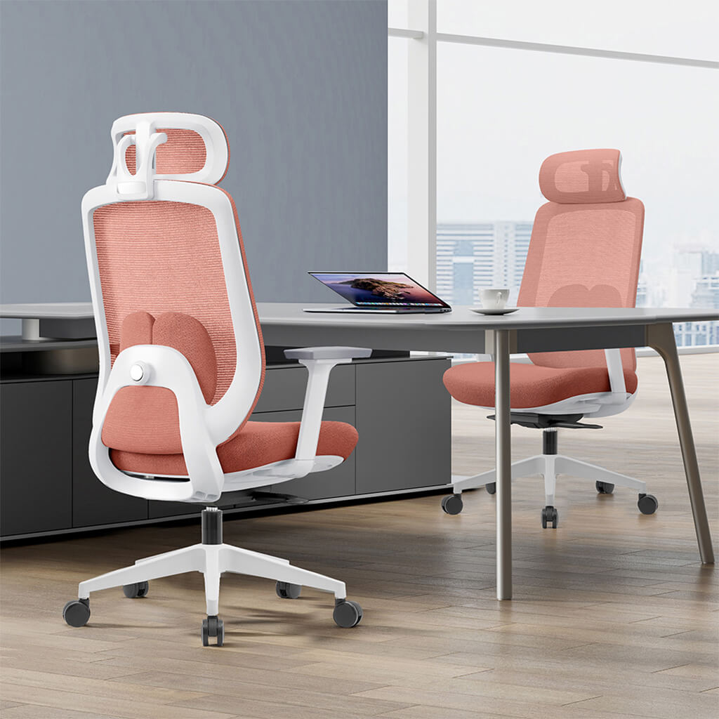 Aera | Adaptive Mesh Office Chair