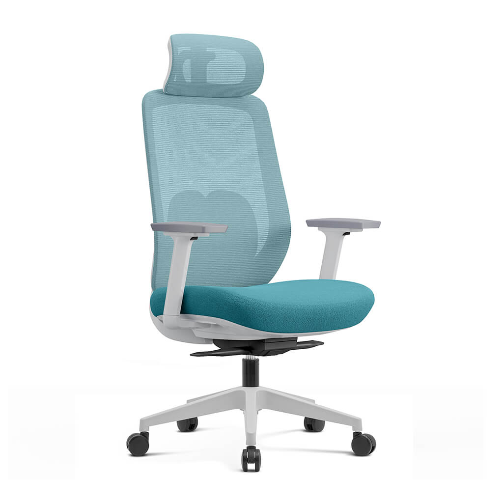 Aera | Adaptive Mesh Office Chair