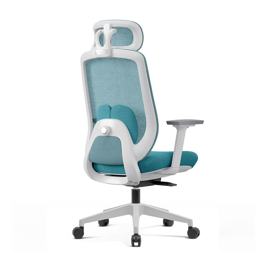 Aera | Adaptive Mesh Office Chair