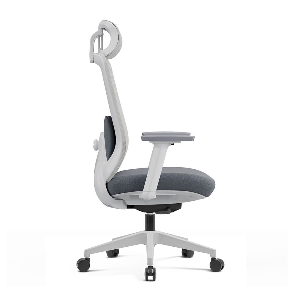 Aera | Adaptive Mesh Office Chair