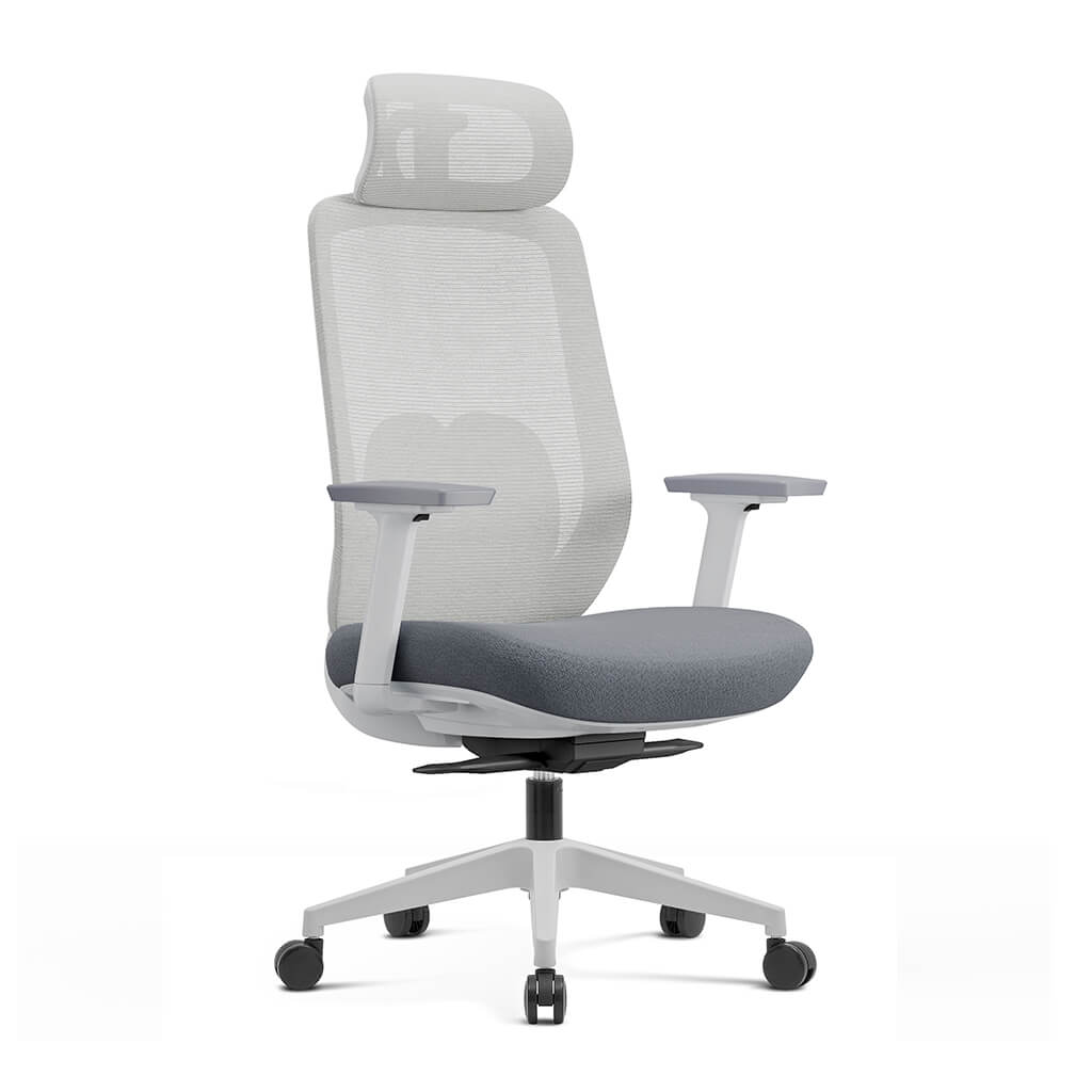 Aera | Adaptive Mesh Office Chair