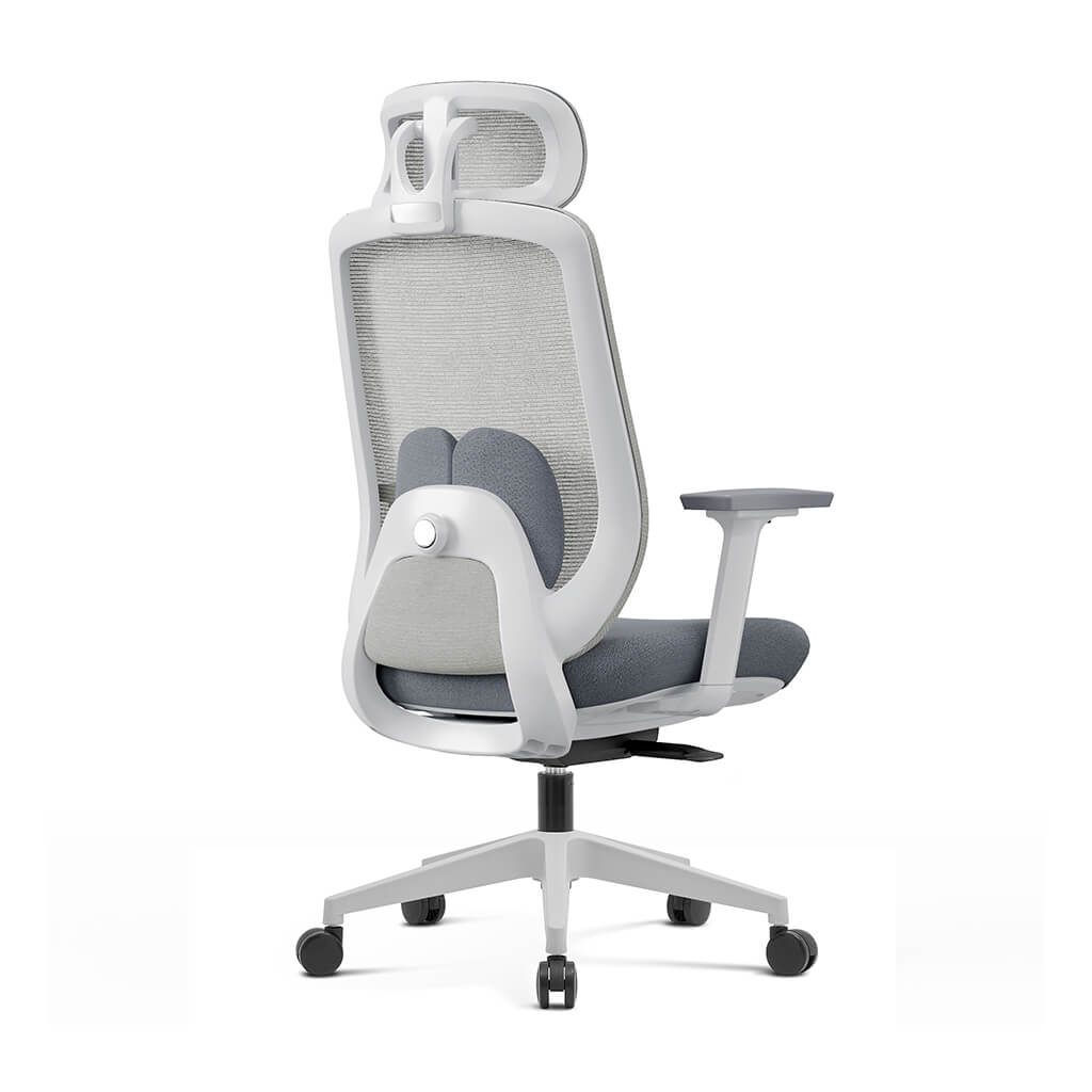 Aera | Adaptive Mesh Office Chair