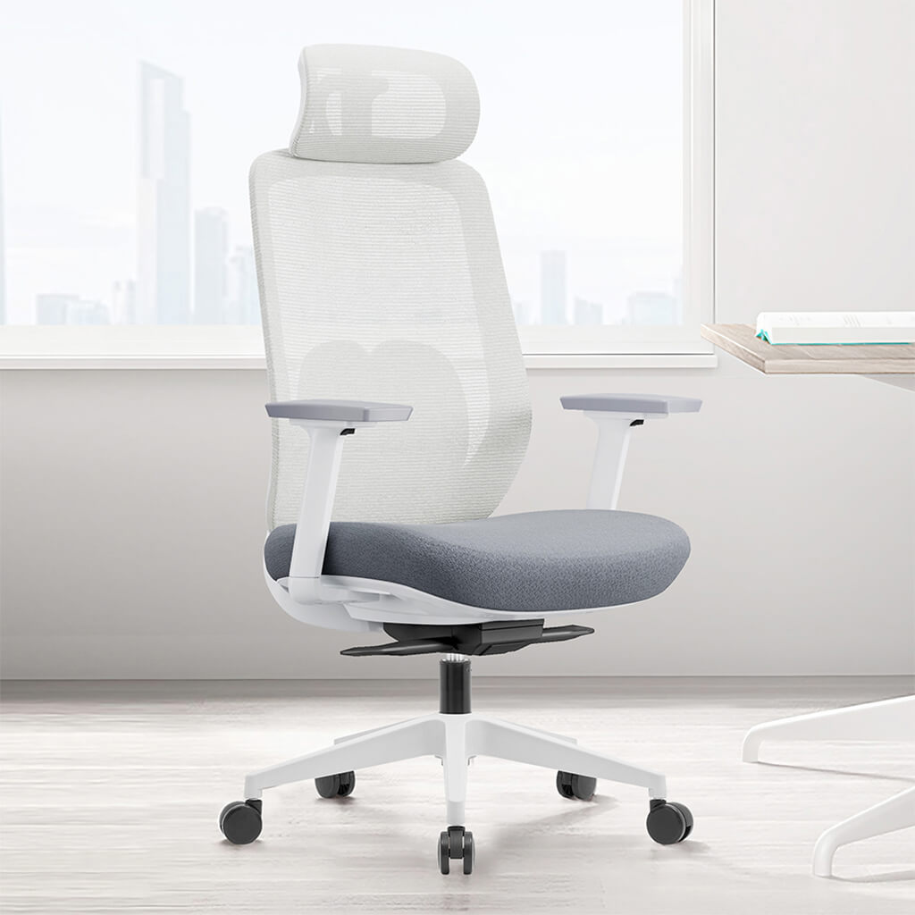 Aera | Adaptive Mesh Office Chair