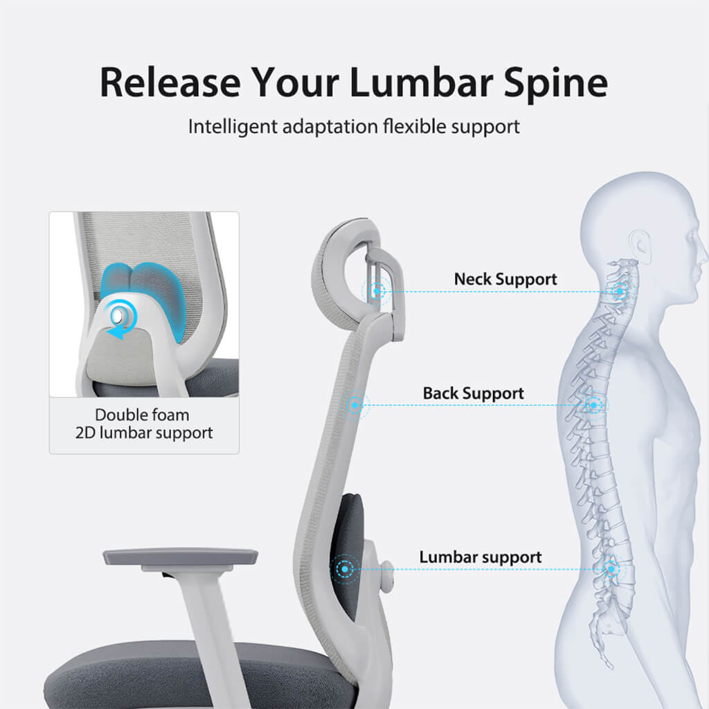 Aera | Adaptive Mesh Office Chair