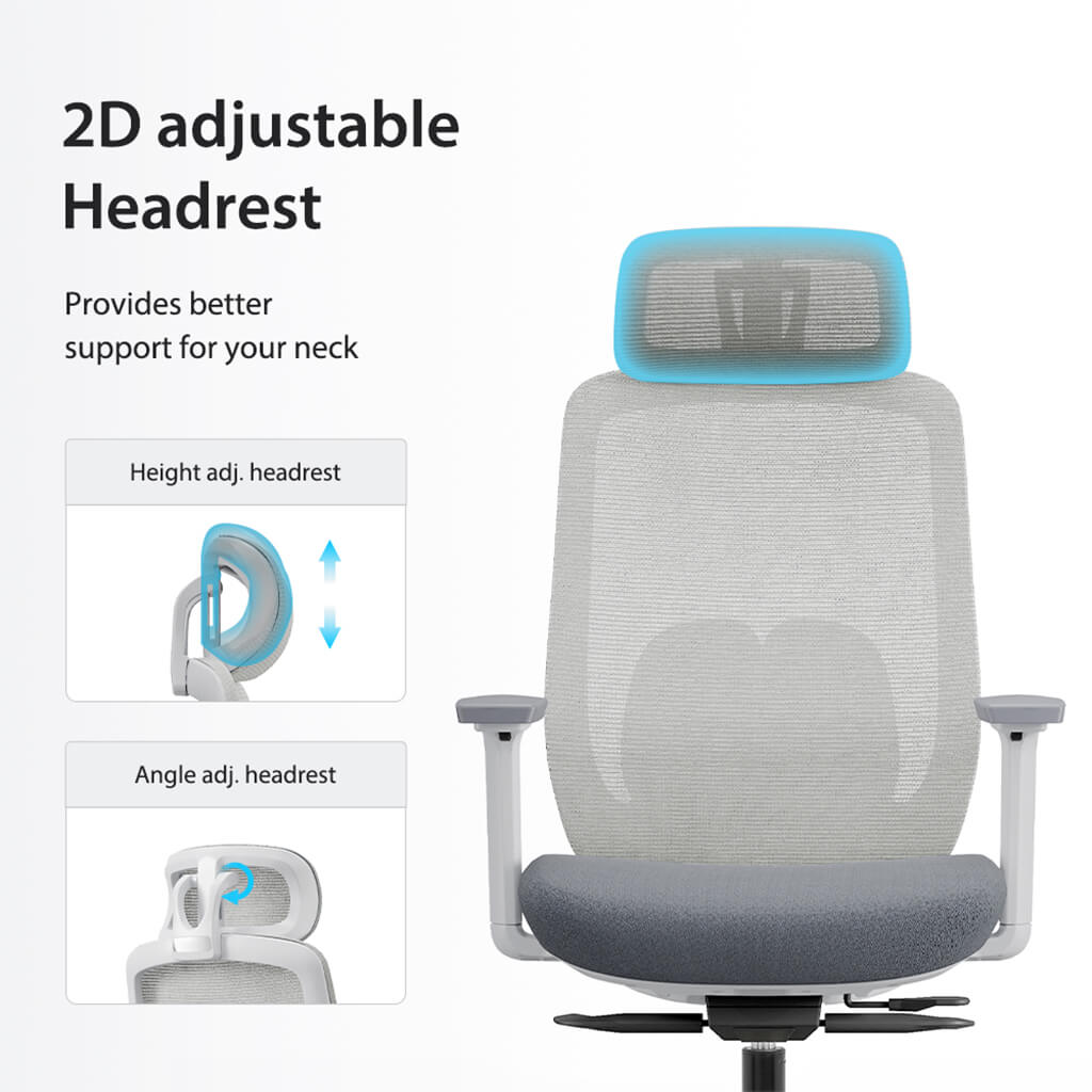 Aera | Adaptive Mesh Office Chair
